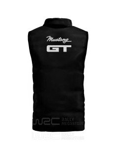 VESTE FORD MUSTANG GT 2