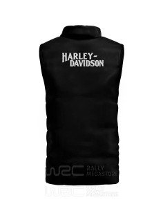 VESTE HARLEY DAVIDSON LETTER 2