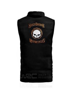 VESTE HARLEY DAVIDSON SKULL 2