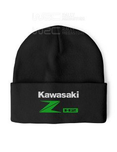 BONNET KAWASAKI ZH2
