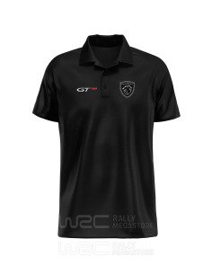 Polo Peugeot GT: Performance & Rallye.