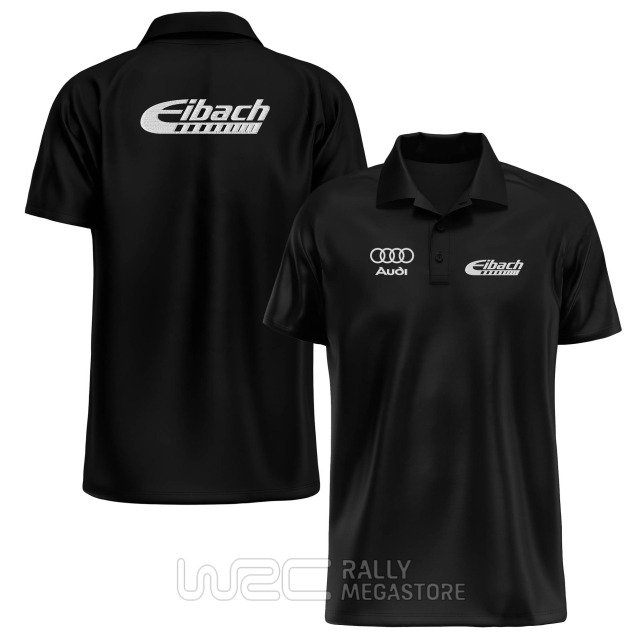 Polo Eibach Audi : Performance et Style Rallye